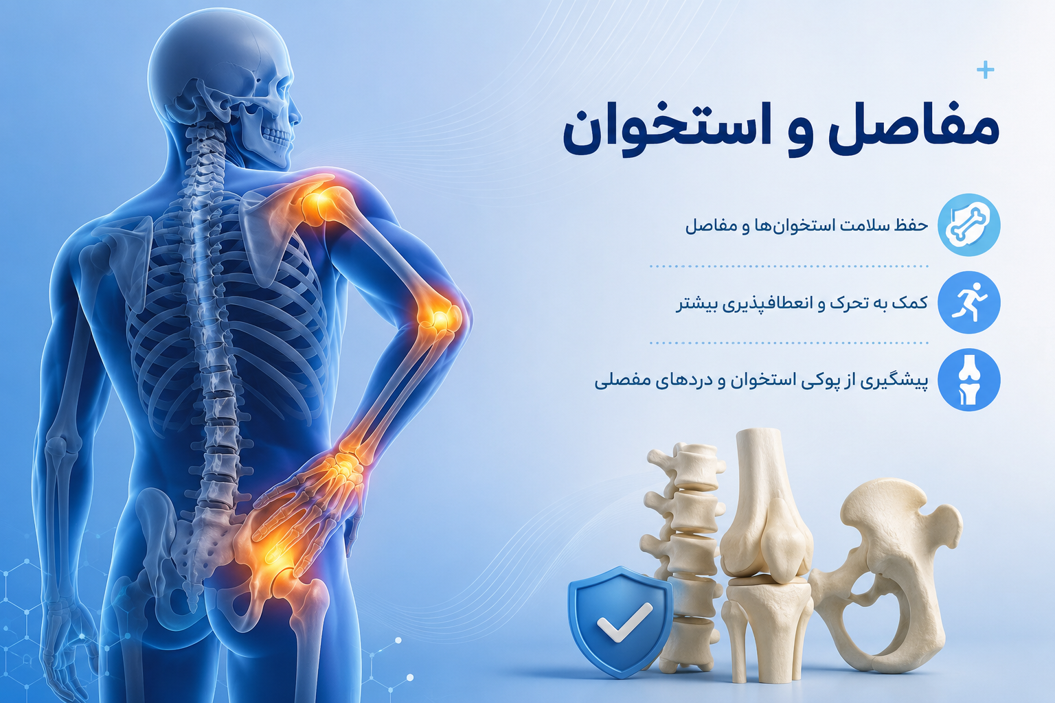 مراقبت از مفاصل و استخوان | راهکارهای تقویت استخوان و معرفی بهترین مکمل‌ها